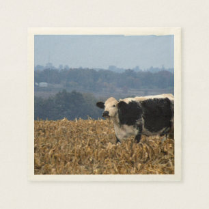 Black and White Cow grazes in freshly ploughed Napkin