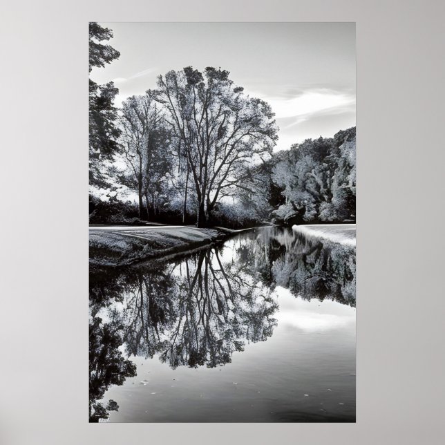 Black and white creation reflection of trees  poster (Front)