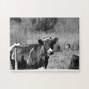 Black and White Curious Holstein Cows in Pasture Jigsaw Puzzle