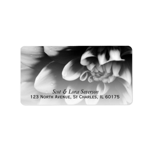 Black and White Dahlia Return Address Label (Front)
