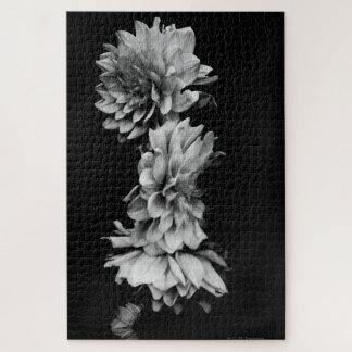 Black-and-White Dahlia Trio Jigsaw Puzzle
