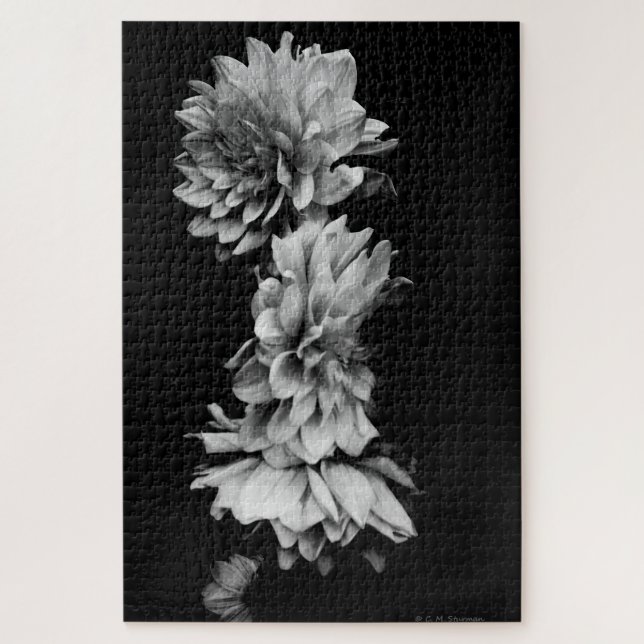Black-and-White Dahlia Trio Jigsaw Puzzle (Vertical)