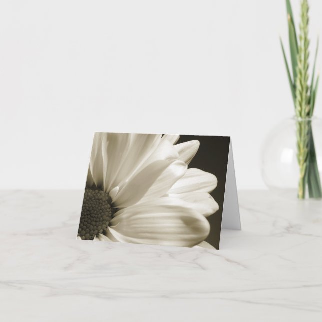 Black and White Daisy Notecard (Front)