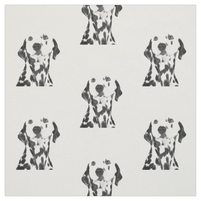 Black and White Dalmatian Fabric (Swatch)
