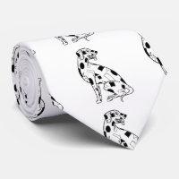 Black and white Dalmatian