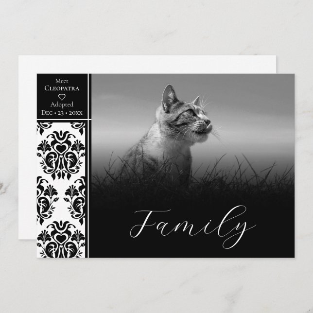 Black and White Damask Pet Announcement (Front/Back)