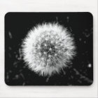 Black and white dandelion