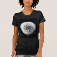 Black and white dandelion