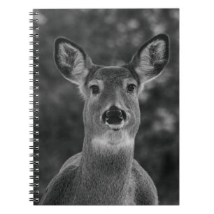 Black And White Deer Face Notebook