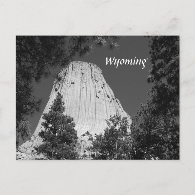 Black and White Devils Tower Postcard (Front)