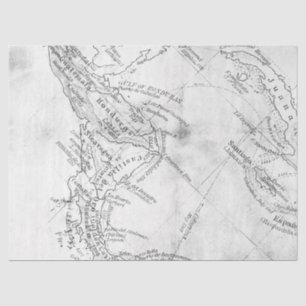 Black and White Digital Map Series Design 14 Tissue Paper