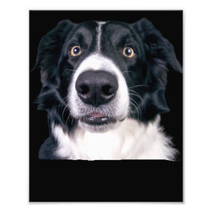 Black and White Dog Face Photo Print