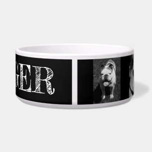 Black and White Dog Photos and Name Personalised