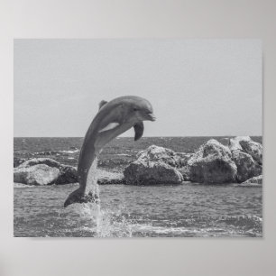 Black and White Dolphin Tropical Printable Art  Poster
