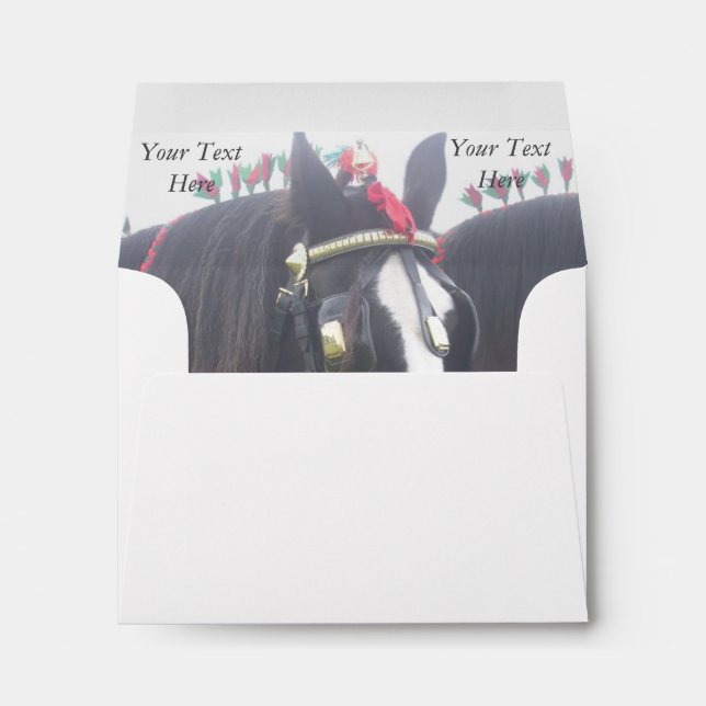 Black and white dray horse in colourful tack photo envelope (Back (Bottom))