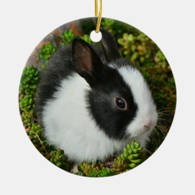 Black and White Dutch Dwarf Mini Bunny Rabbit Ceramic Tree Decoration (Front)