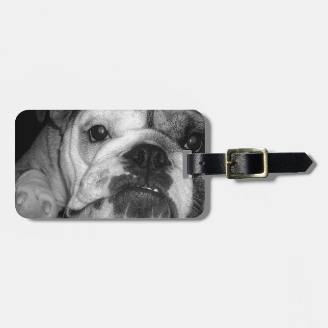 Black and White English Bulldog Puppy Luggage Tag (Front Horizontal)