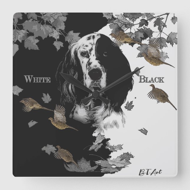 Black and white English setter       Square Wall Clock (Front)