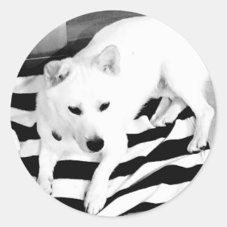 Black and White Eno Sticker