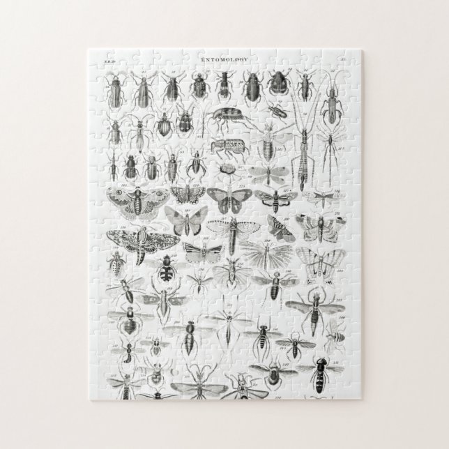 Black and White Entomology Insects Bugs Paper Plat Jigsaw Puzzle (Vertical)