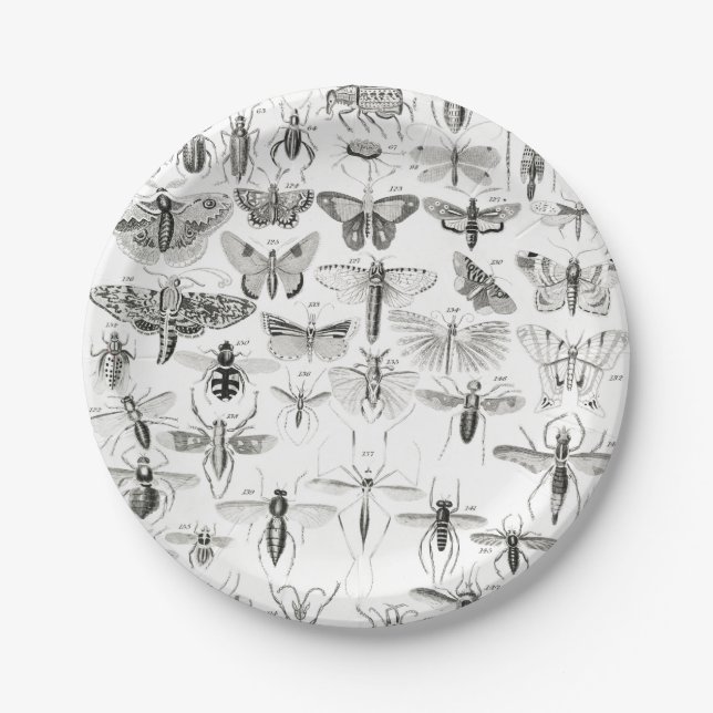Black and White Entomology Insects Bugs Paper Plate (Front)