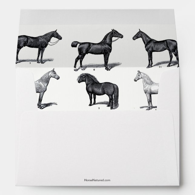 Black and white envelope with horse design (Back (Bottom))