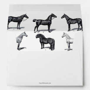 Black and white envelope with horse design