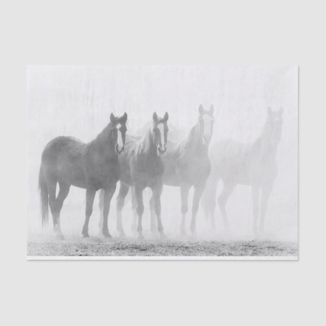 Black And White Fade Out Horses Tissue Paper (Front)