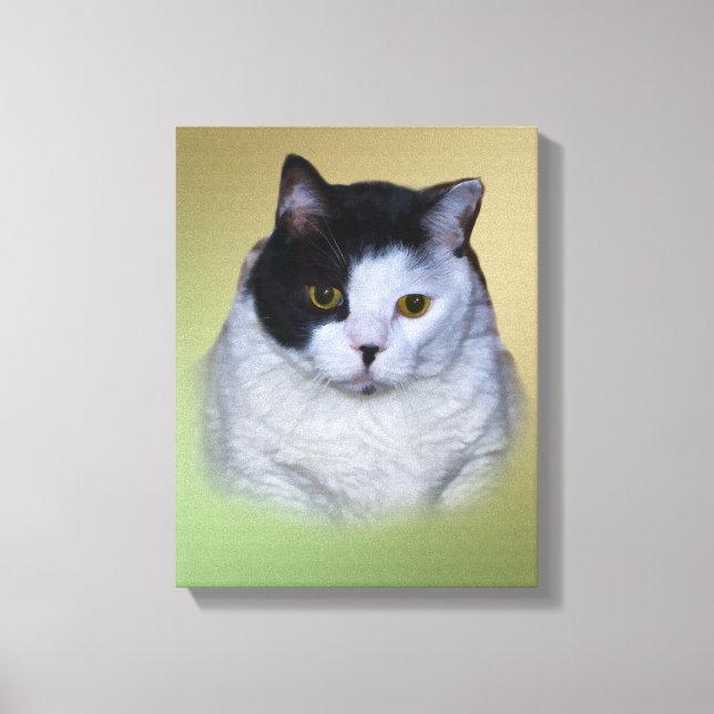 Black and White Fat Cat Canvas Print (Front)
