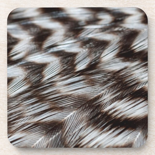 Black and White Feathers in Detail Coaster (Front)