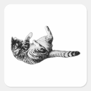 Black-and-White Feline Flip Square Sticker