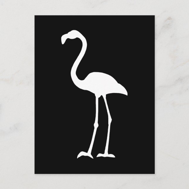 Black and White Flamingo Postcard (Front)