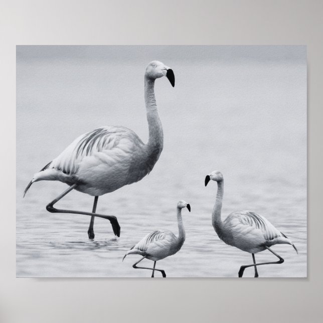 Black and White Flamingo Tropical Printable Art  Poster (Front)