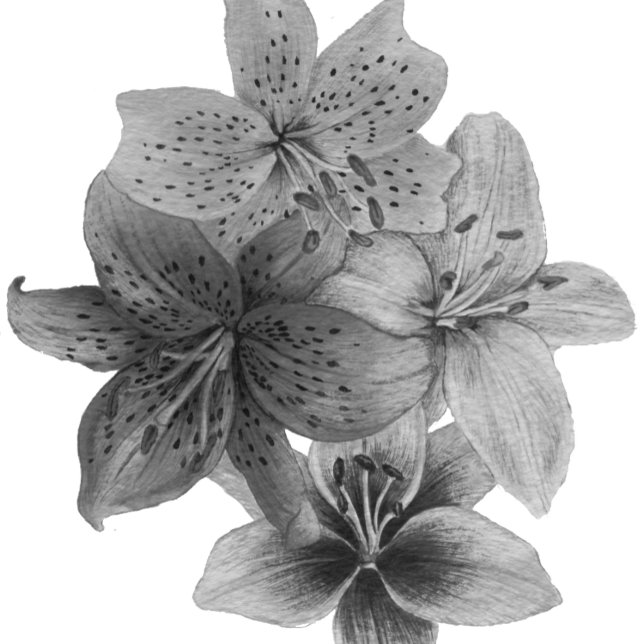 black and white floral contempory art tote bag (Creator Uploaded)