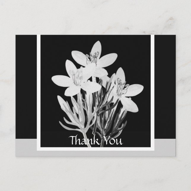 Black and White Floral Minimalist Postcard (Front)