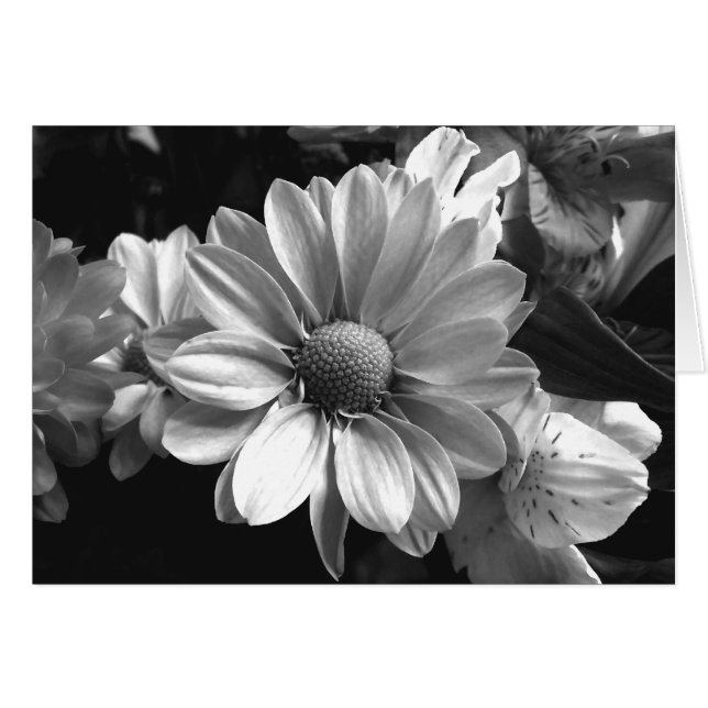 Black and White Flower Photo (Front Horizontal)