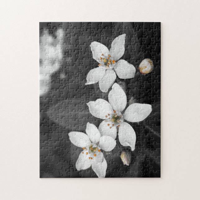 Black and White Flower Photograph Puzzle (Vertical)
