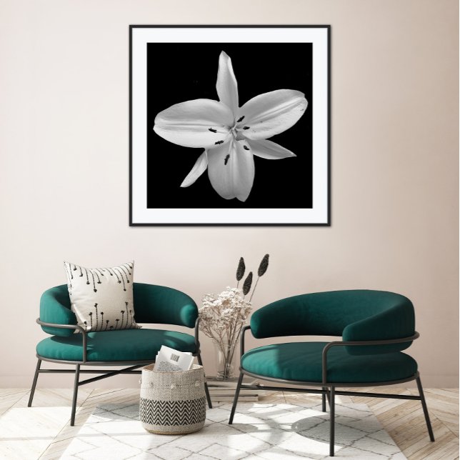 Black and White Flower Photography Poster (Creator Uploaded)