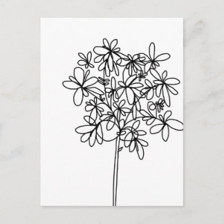 Black and White Flower - Postcard