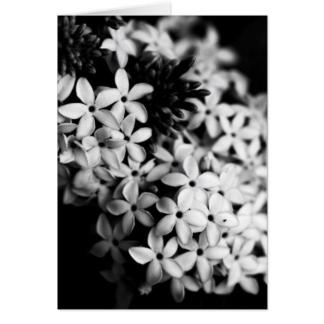 black and white flowers (Front)