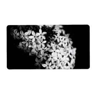 black and white flowers