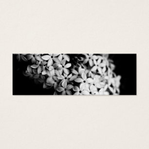 Black and White Flowers