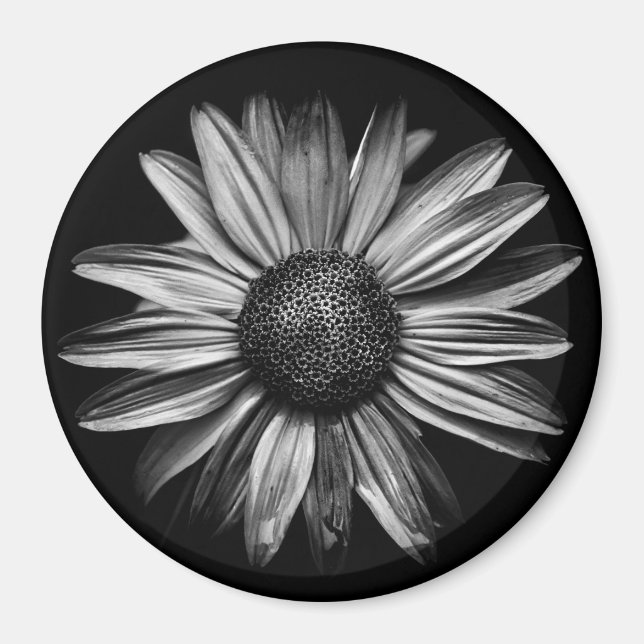 Black And White Flowers 18 Magnet (Front)
