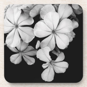 Black and white flowers close-up coaster