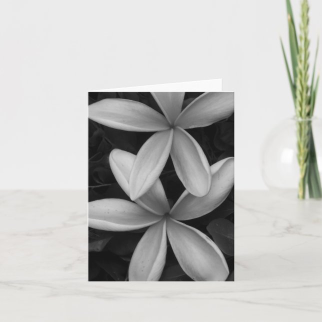 Black and White Flowers Folded Greeting Card (Front)