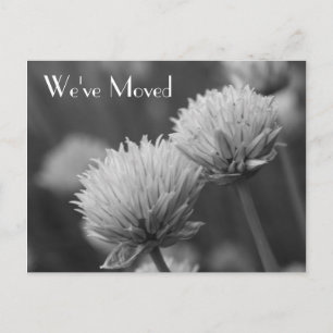 Black And White Flowers New Address Announcement Postcard