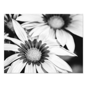 Black and White Flowers Photo Print