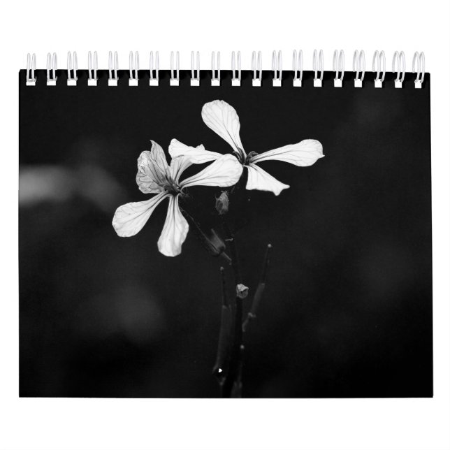 Black and white flowers photography calendar (Cover)