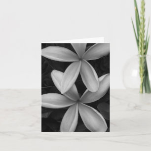 Black and White Flowers Small Folded Greeting Card