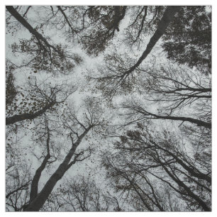 Black and white forest ceiling fabric